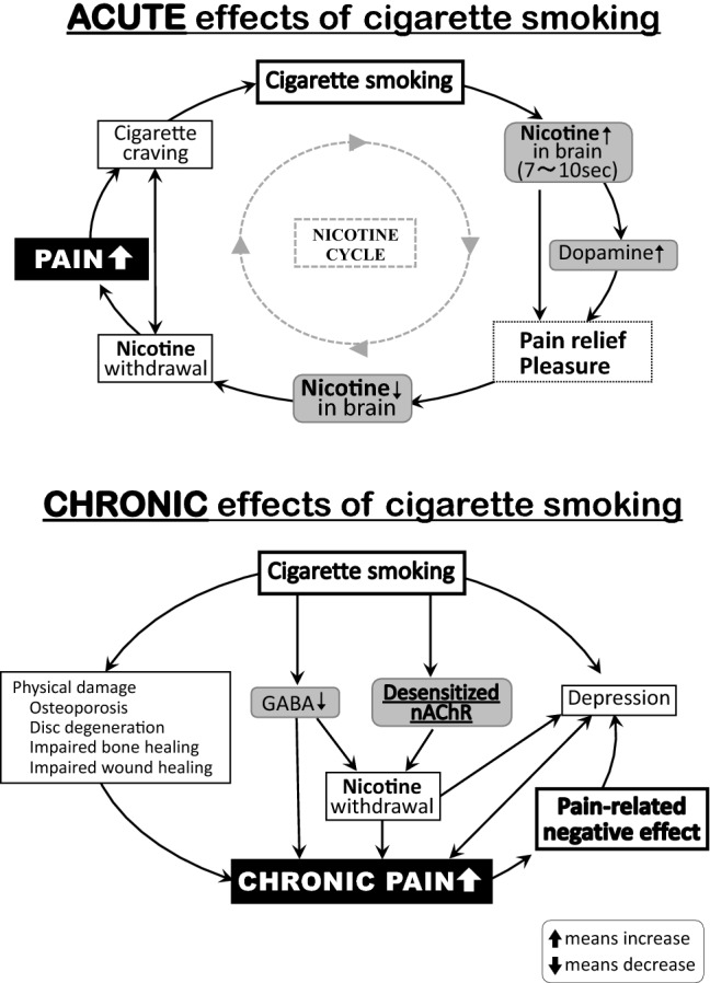 Smoking pathophysiology pain.jpg