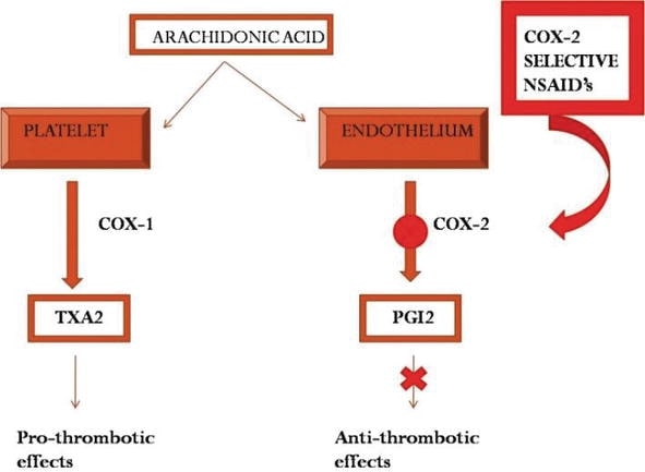 File:NSAID induced thrombosis.jpg