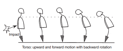 During rear-end impact the torso pushes upward and forward from the seat back with posterior sagittal rotation. This torso motion and head inertia produces the force to the neck.[3]
