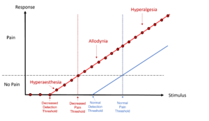 Allodynia and hyperalgesia thresholds.png