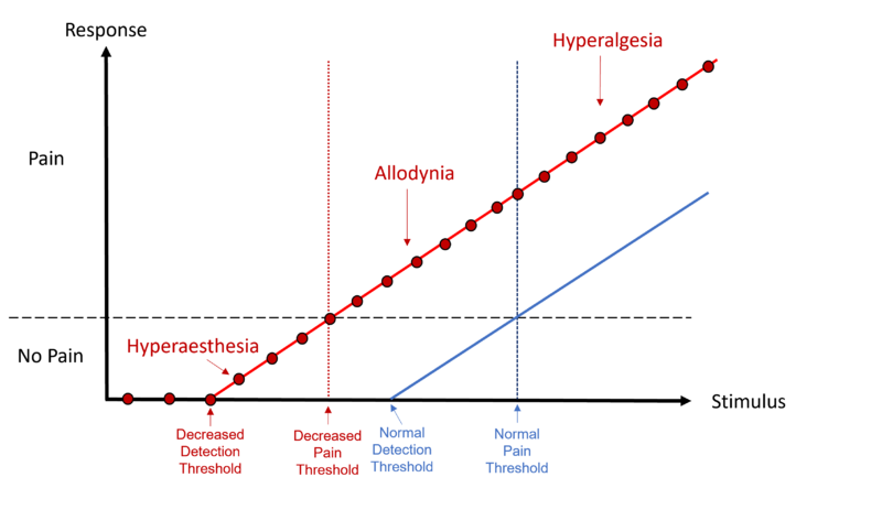 File:Allodynia and hyperalgesia thresholds.png
