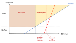 Hyperpathia increased DT increased PT hyperalgesia.png