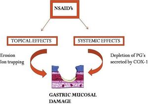 NSAID induced GIT effects.jpg