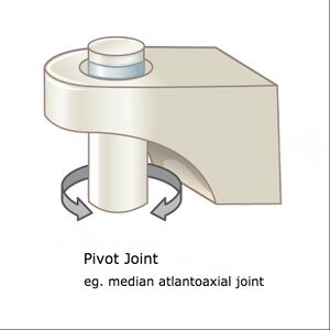 Pivot joint.jpg