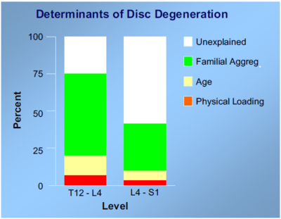 The variability (adj. R2) in qualitative disc degeneration summary scores explained by physical loading, age, and familial aggregation (proxy of heredity) demonstrated that significantly more variability remained unexplained in the L4–S1 disc levels.