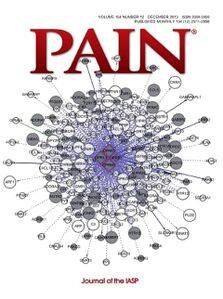 Pain journal.jpg