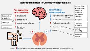 Neurotransmitters CWP.jpg