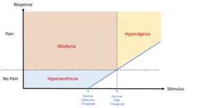Hyperalgesia and allodynia.png