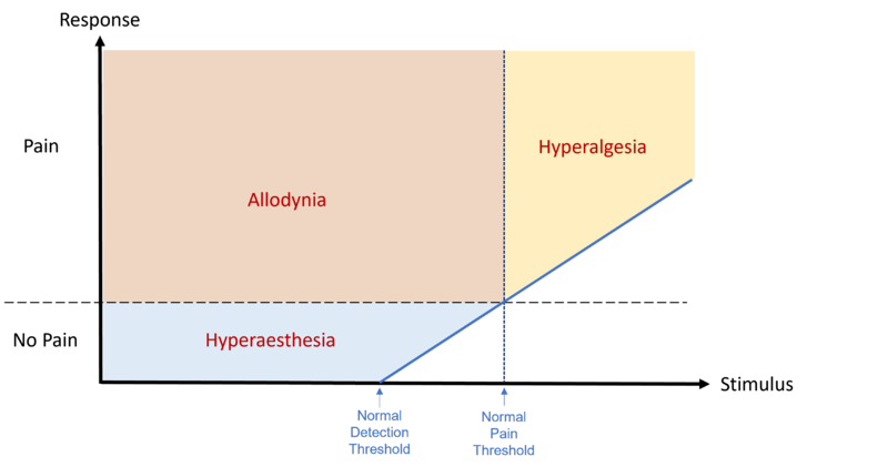 File:Hyperalgesia and allodynia.png