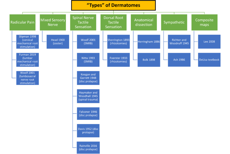 File:Dermatome Types.png