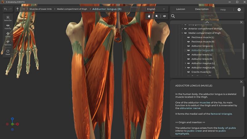 File:Z anatomy screenshot.jpg