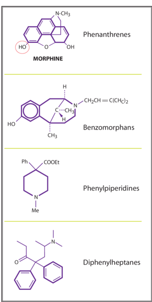 File:Opioid-chemical-classification.png